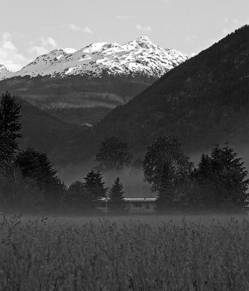 farmhouse and fog.jpg